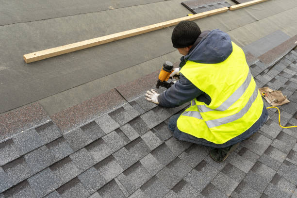 Best Roof Gutter Cleaning  in Douglas, AL