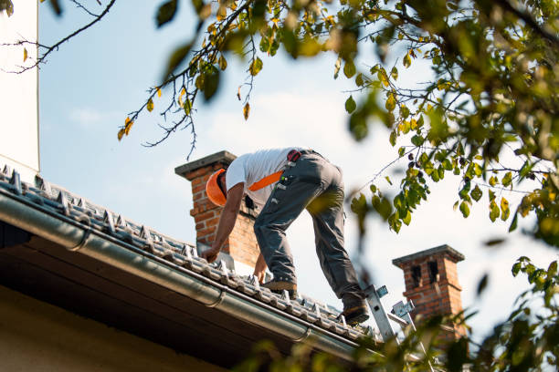 Best Storm Damage Roof Repair  in Douglas, AL