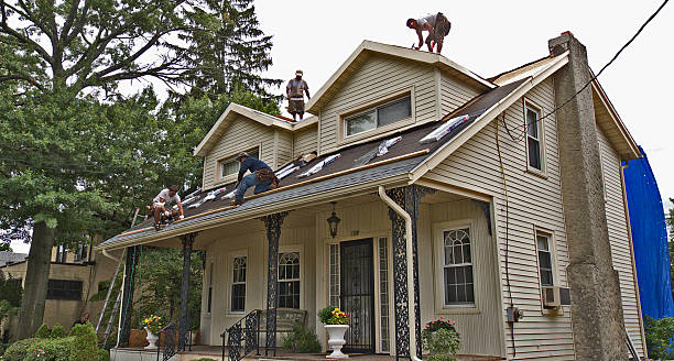 Best Metal Roofing Contractor  in Douglas, AL