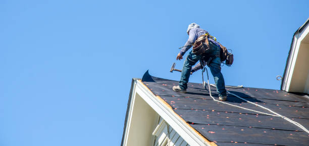 Best Roof Waterproofing Services  in Douglas, AL